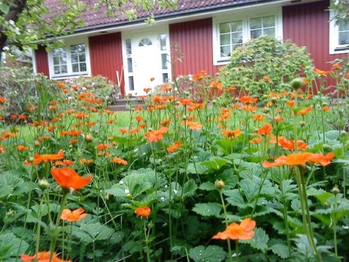 Jen'S B&B Ljungbyhed Екстер'єр фото