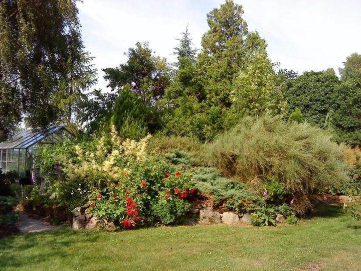 Jen'S B&B Ljungbyhed Екстер'єр фото